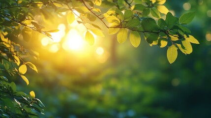 Obraz premium Sunlit Green Leaves A Close-Up in Nature's Embrace