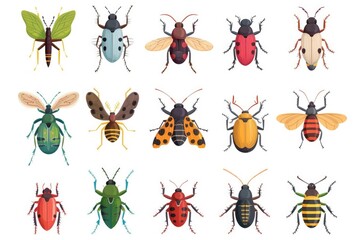 Macro photography of various colored insects on a plain white surface