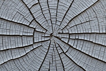 Fototapeta premium Cracked Lines and Textured Surface on Transparent Background