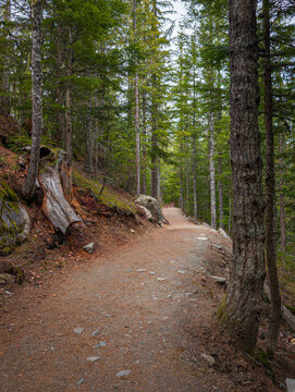 Baden Powell Trail