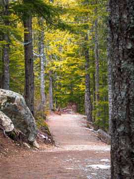 Baden Powell Trail
