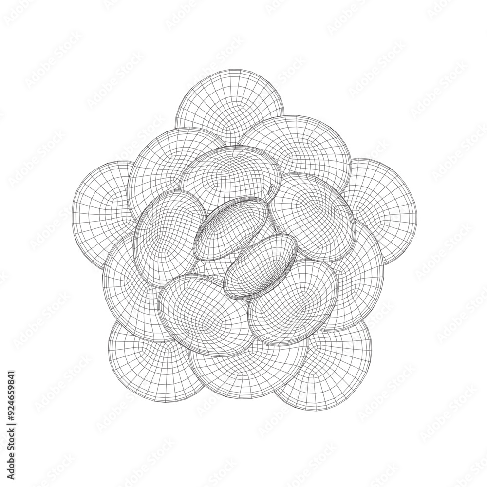 Poster wireframe of seashells stacked on top of each other in a circle of black lines isolated on white bac