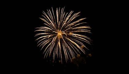 new year Fireworks on black Background
