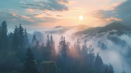 Sunrise casts golden light on mist-covered mountains and towering evergreen trees, creating a serene and magical atmosphere in the early morning