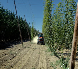 agricultor arando con grada de dientes montada en tractor sobre terreno de cultivo 