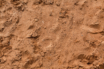 Background of beige, brown beach sand with natural pattern background. top view, flat lay. copy space, close up