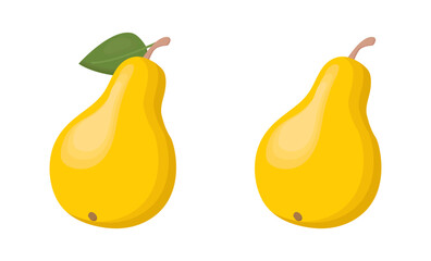 Yellow pear isolated on a white background. Vector illustration, icon of fruits. Two pears and leaf in a hand-drawn style.	