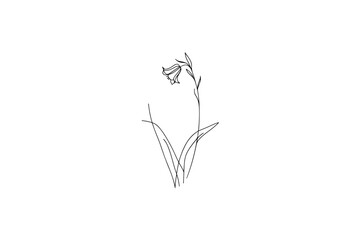 Line art of a Bluebell flower vector illustration.