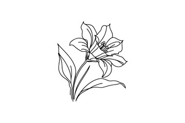 Bluebell flower vector illustration.