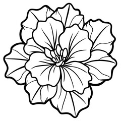 Beautiful geranium flower line art 