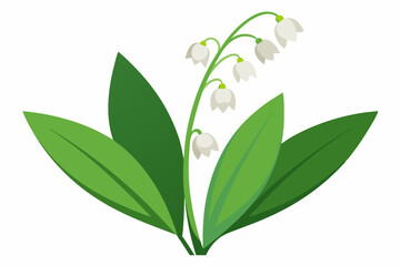 Illustration of a Lily of the Valley Flower with Green Leaves