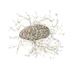 3d rendering of grey stone with leaf on isolated Canvas