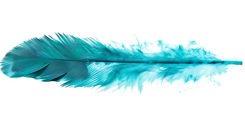 Single Turquoise Feather Isolated on Transparent Background, a Blue Bird's Soft Plume with Frayed Edges