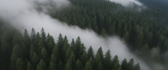 A Fog Over the Mountains Landscape
