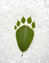 Nature footprint: Top view of leaf-textured human footprint