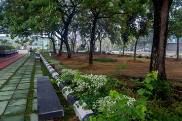 Obraz premium path in the park