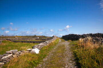 path to the hill in ireland