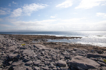 beach and rocks