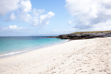 beach with sky and clouds
