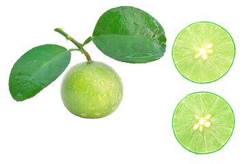 fresh lime isolate on white