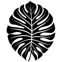 Monstera tropical plant leaf vector svg