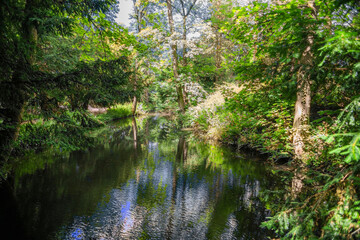 Traditional english cottage walled garden