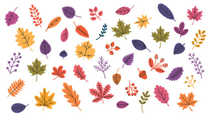 Autumn leaves set. Colorful autumn leaves. Vector illustration.