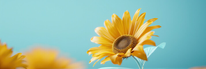 Naklejka premium Close-Up Side View of a Blooming Sunflower