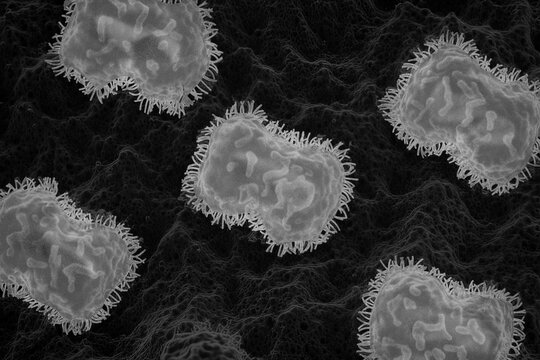 MPOX Virus Clade 1 Close Up