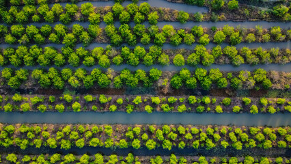Land used for agriculture in Vietnam, Asia, seen from above