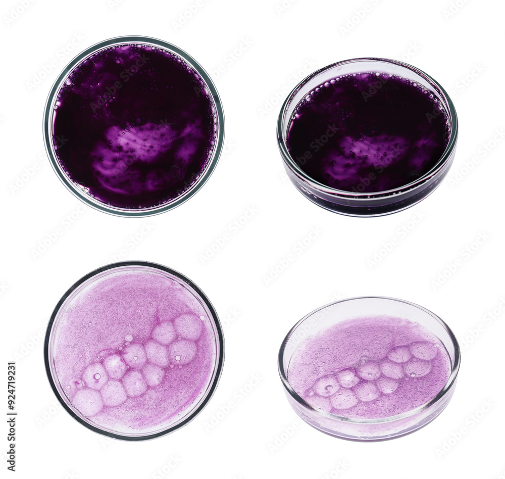 Wall mural set of petri dishes with liquid samples on white background, top and side views