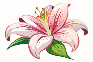 Pink Lily Flower with Green Leaves and Yellow Center