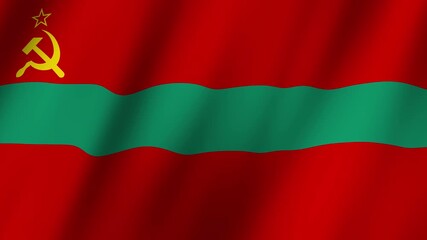 Flag of Transnistria waving animation, Transnistria Flag footage video waving in wind