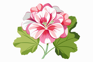 Pink and White Flower with Green Leaves