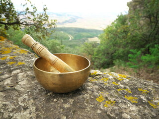 Singing bowl on a large rock with nature in the background