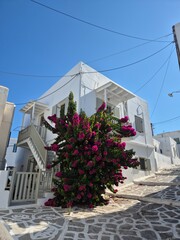 Greece, Cyclades, Paros, Naousa