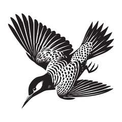 Obraz premium Northern flicker silhouette, Woodpecker Bird Clipart, Northern flicker Flying downward illustration in black and white