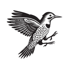 Fototapeta premium Northern flicker silhouette, Woodpecker Bird Clipart, Northern flicker Hopping on the ground illustration in black and white