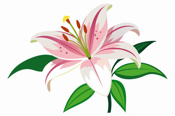 Naklejka premium Pink and White Lily with Green Leaves