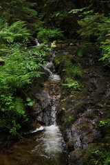 A cascade along the hiking trail Rabenschlucht (Raven Gorge) Todtmoos, High Black Forest - Germany