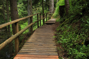Fototapeta premium Hiking Trail Rabenschlucht (Raven Gorge) in Todtmoos, High Black Forest germany