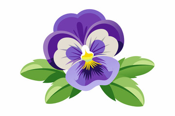 A Single Purple Pansy Flower with Green Leaves