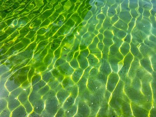 Abstract background, green water with yellow effect of sun