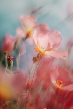 Pastel blurry soft abstract flowers
