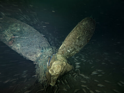 Underwater photography of a shipwreck propeller, Liner Caroni built in Newcastle in 1905 and sunk near La Rochelle in 1915 during WW1