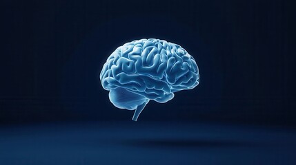 Human brain with methodology blueprints, strategic insight, 3D illustration