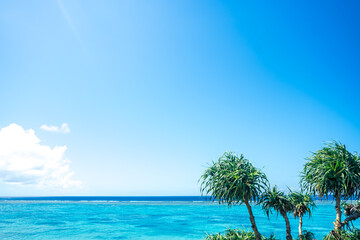 青い空と青い海