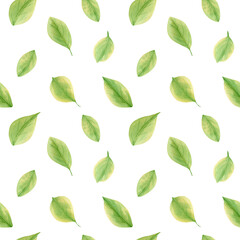 Watercolor leaf pattern. Seamless floral pattern with botanical illustration of green lemon leaves for fabric, wallpapers, wrapping paper