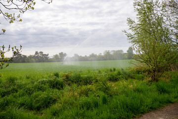 Field with hill and a water cannon irrigating