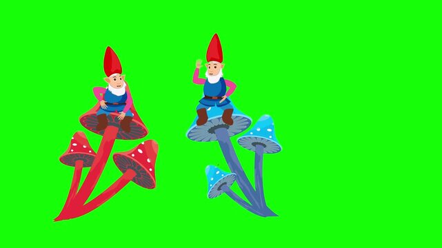 gnomes sitting on mashrooms animation on green screen